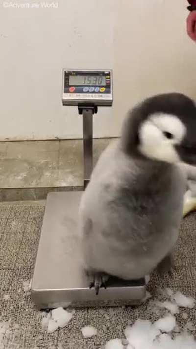 Am big boi, don't worry bout it