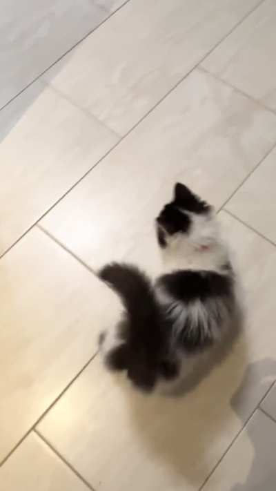 Baby yell ? before treats