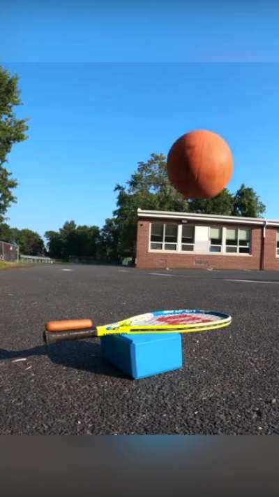 Hot Dog Trick Shot ?