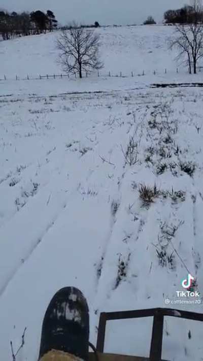 Never too old to sled