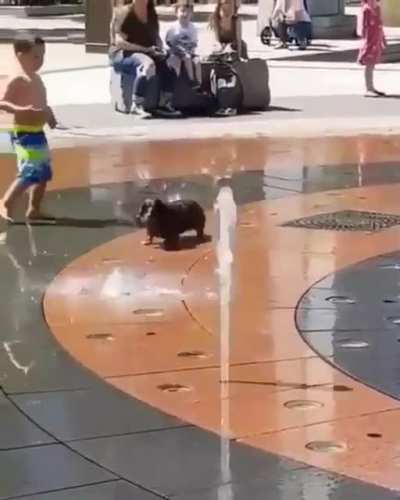That little jump?