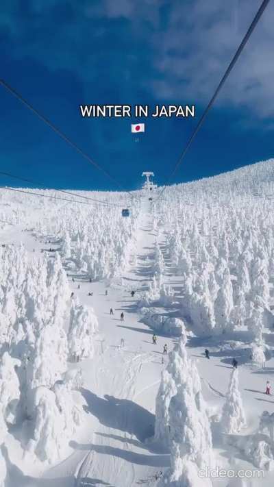 Japan, Zao Onsen Ski Resort in Yamagata. This resort is famous for unique natural phenomena, "snow monsters" are snow-covered trees covered with a thick layer of snow and ice due to strong winds and frost.