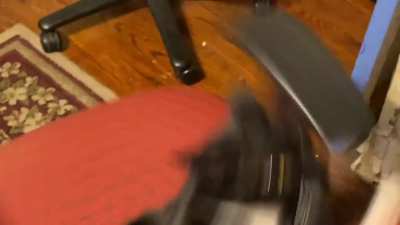 You spin me right round..