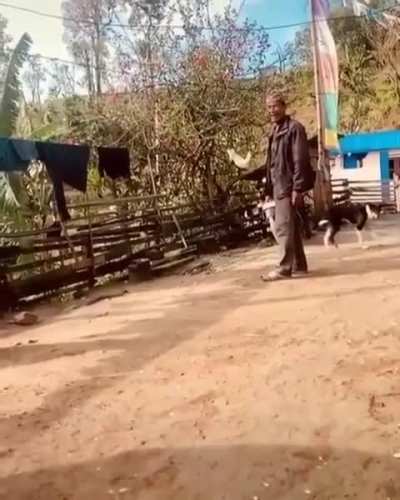 To kick the brick