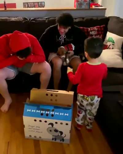 Santa came early and dropped off a gift for these boys