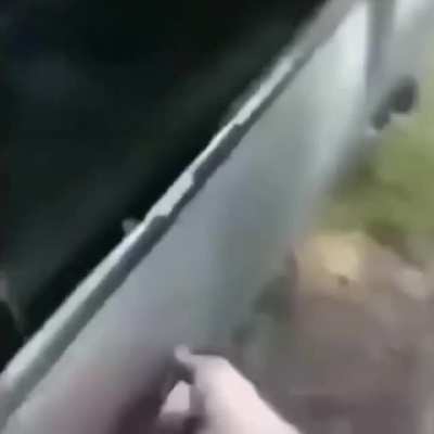 Bitch it's hella reliable