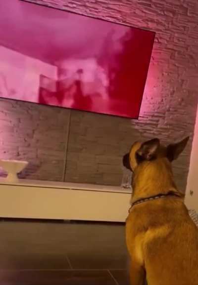 Looks like he's not gonna watch him play that again.