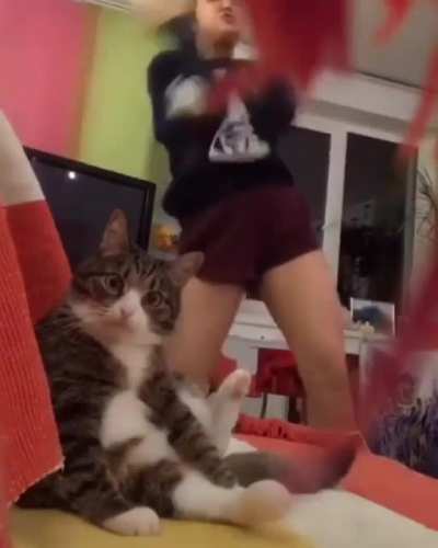 "See what I have to deal with?"