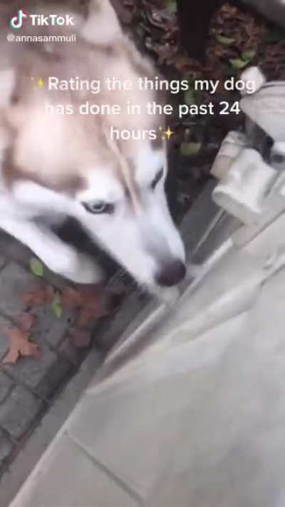 Awe this video might be adorab-