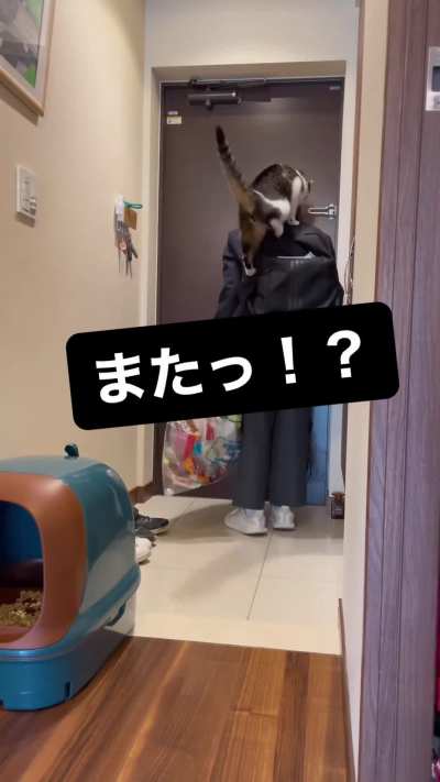 "Where we going?"