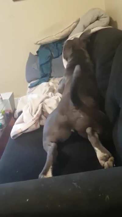 Told him we'll go out after I finish my coffee. He got the "go out" part only.