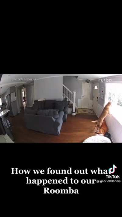 What happened to the roomba