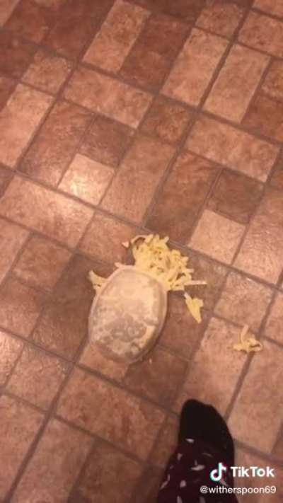 5 second rule....