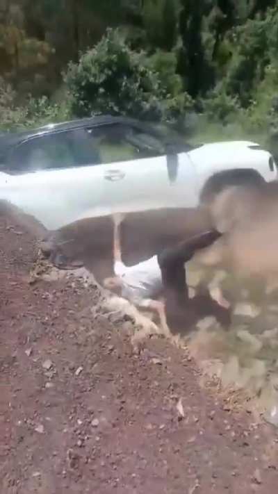 Maybe maybe maybe