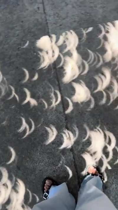 ? Shadows cast during the eclipse