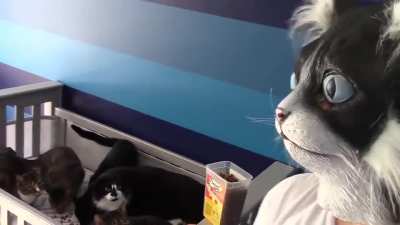 S*cat*ter