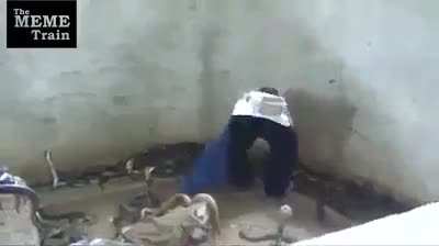 This guy has no chill