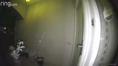 Ring camera alerted me that someone was at my door at 1am. Turns out I can never leave my home ever again.