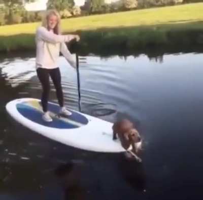 “I help hooman!”