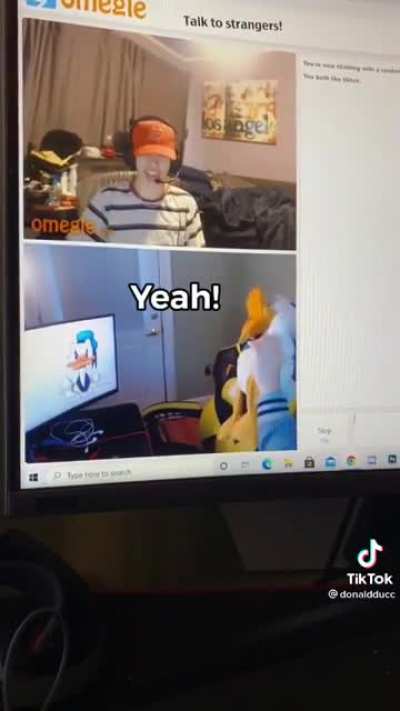 Screaming duck