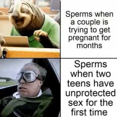 I am speed