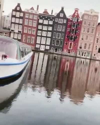 Perfect Reflection