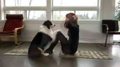 Doing Yoga with Downward Facing Doggo