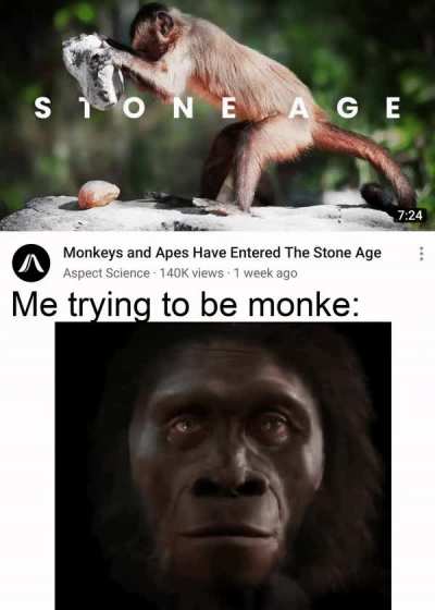 How many more lies have I been told