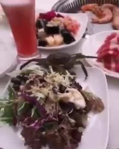 Eat all you can.
