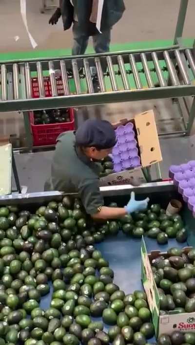 And they call them unskilled jobs.