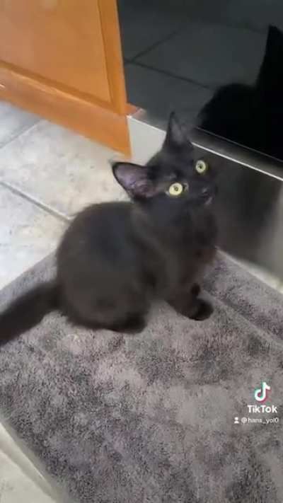 Kiki is demanding food as it’s being platted. She’s a little impatient void.