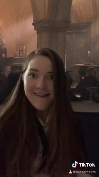 POV: Your roommate at Hogwarts gets inked