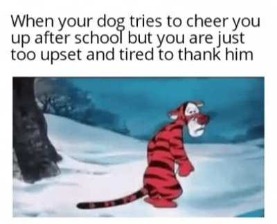 In dog's life