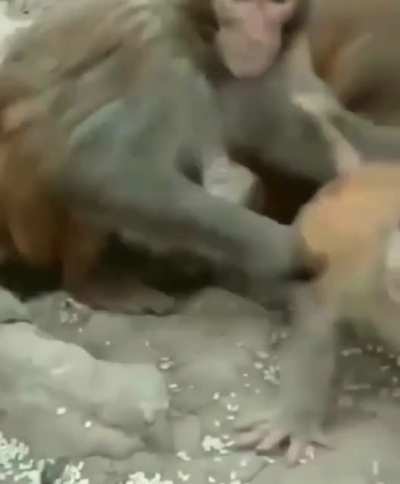 ? Fast reflexes from mama.