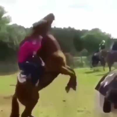 It would have cost her nothing to not do this.