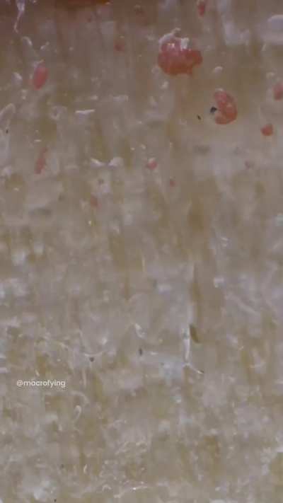 Match in macro