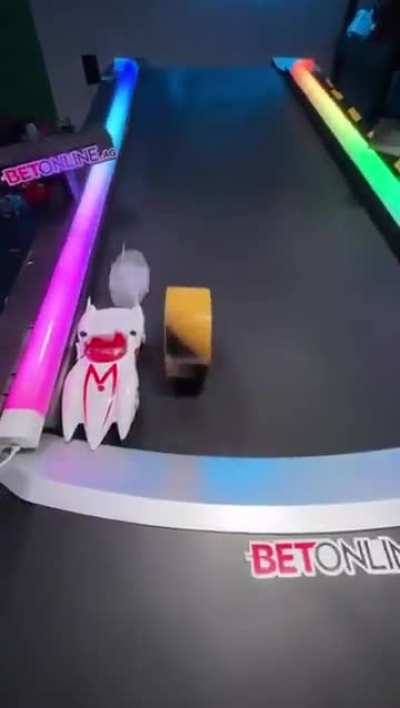 Damn, now that's a race I would want to see.