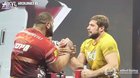 Trying to armwrestle a human silverback