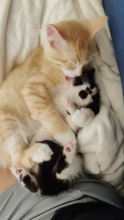 So Precious ♥️