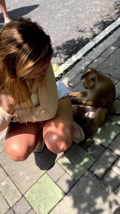 monkey: 'let me taste you'