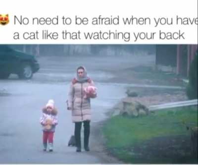 found this somewhere
