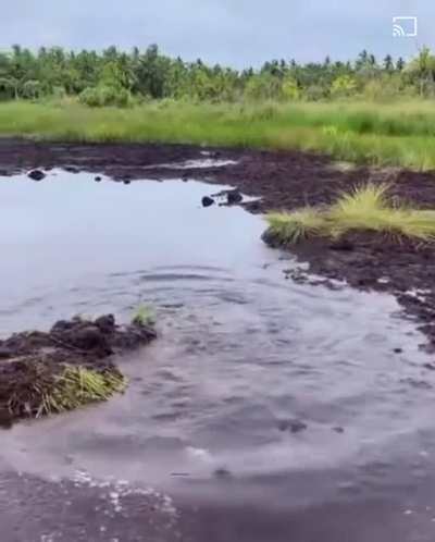 what a muddy trip ?