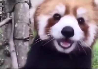 Hi there.