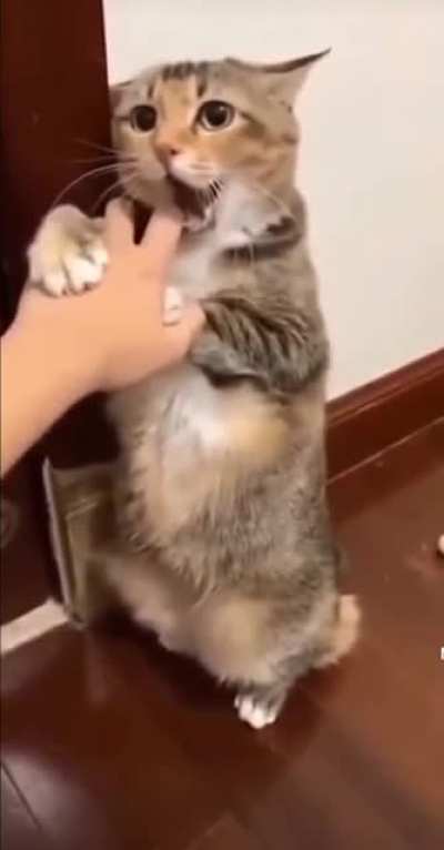 Please don't do that?