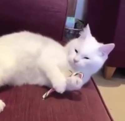 Tasting the peppermint