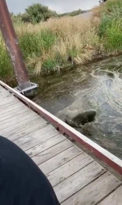 That’s not the ground