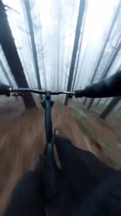 Mountain Biking Down Hill ?
