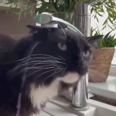 To hydrate.