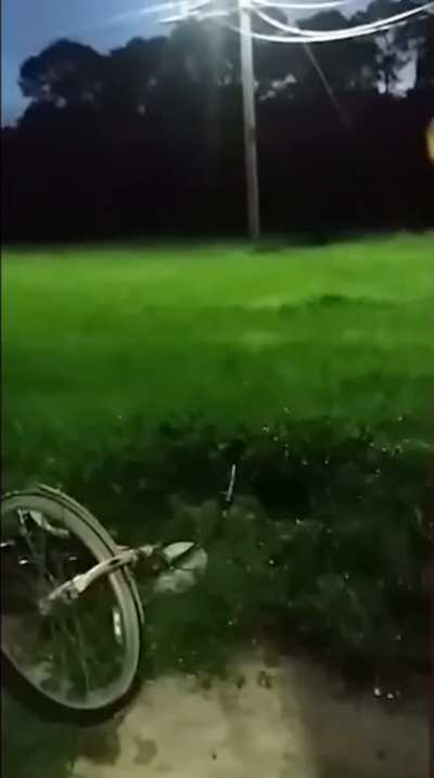WTF Is that...?