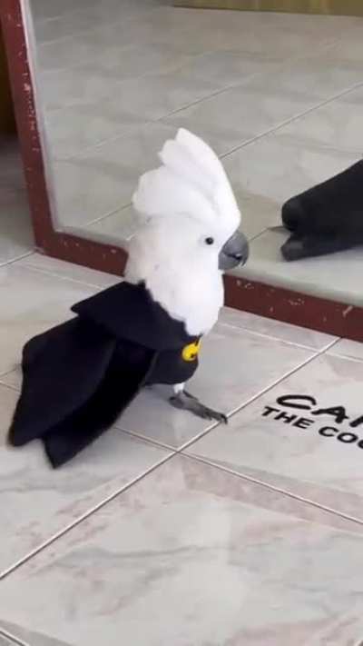 Birbman!